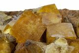 Yellow Cubic Fluorite Crystal Cluster on Matrix - Morocco #347791-1